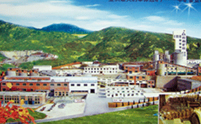 中礦金業(yè)8000t/d金礦采選工程